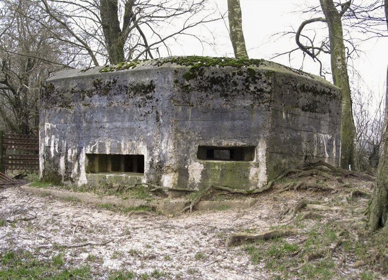 Ligne Maginot - BA59 - LE FRANC PRE NORD - (Blockhaus pour canon) -  - François MATHOT