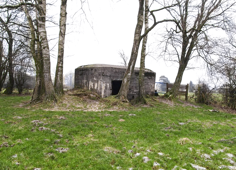 Ligne Maginot - BA59 - LE FRANC PRE NORD - (Blockhaus pour canon) -  - François MATHOT