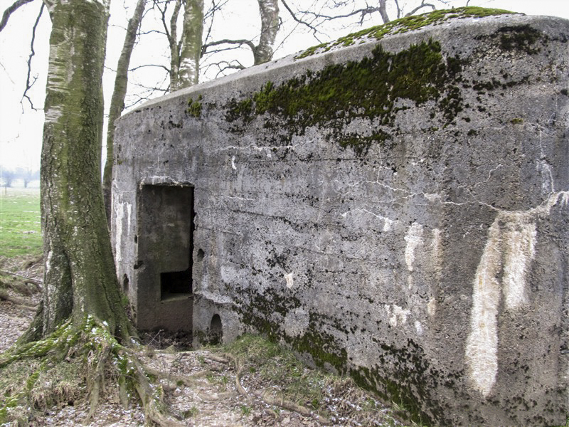 Ligne Maginot - BA59 - LE FRANC PRE NORD - (Blockhaus pour canon) -  - François MATHOT