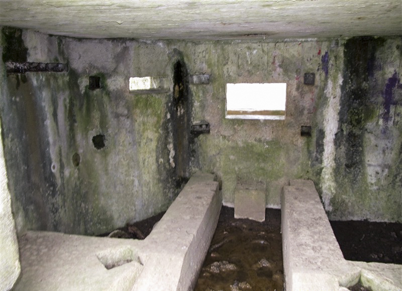 Ligne Maginot - BA59 - LE FRANC PRE NORD - (Blockhaus pour canon) -  - François MATHOT
