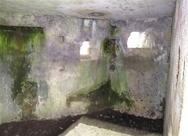 Ligne Maginot - BA59 - LE FRANC PRE NORD - (Blockhaus pour canon) -  - François MATHOT