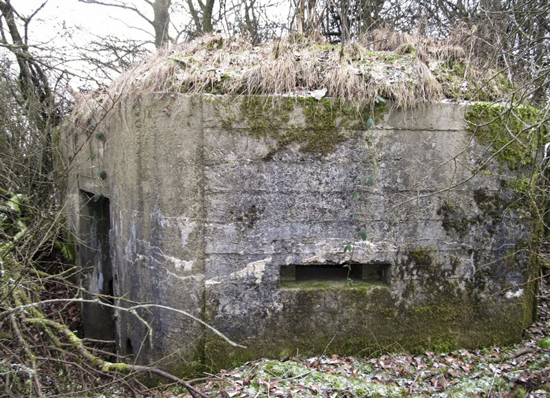 Ligne Maginot - BA58 - LE FRANC PRE SUD - (Blockhaus pour canon) -  - François MATHOT