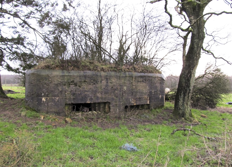 Ligne Maginot - BA57 - LA SONGIÈRE OUEST - (Blockhaus pour canon) -  - François MATHOT