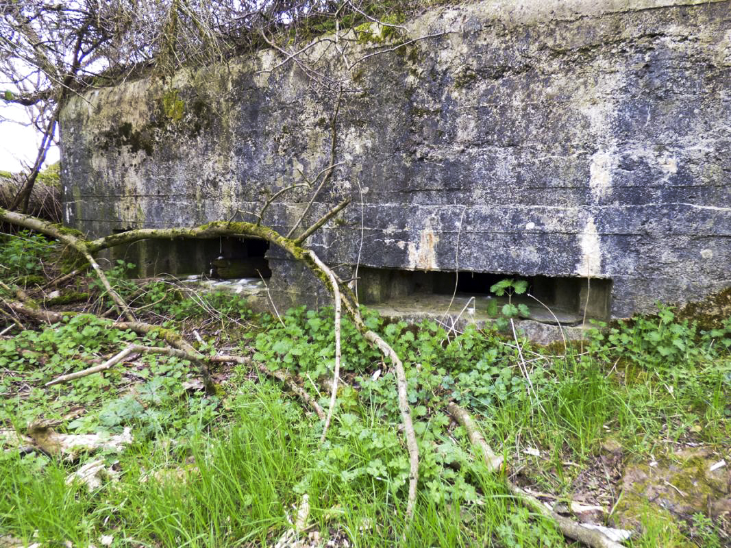 Ligne Maginot - BA57 - LA SONGIÈRE OUEST - (Blockhaus pour canon) -  - JMBrams