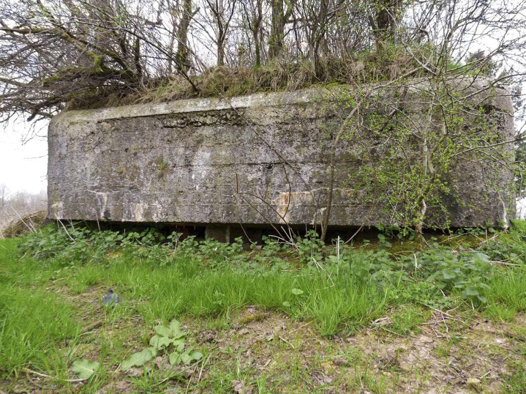Ligne Maginot - BA57 - LA SONGIÈRE OUEST - (Blockhaus pour canon) -  - JMBrams