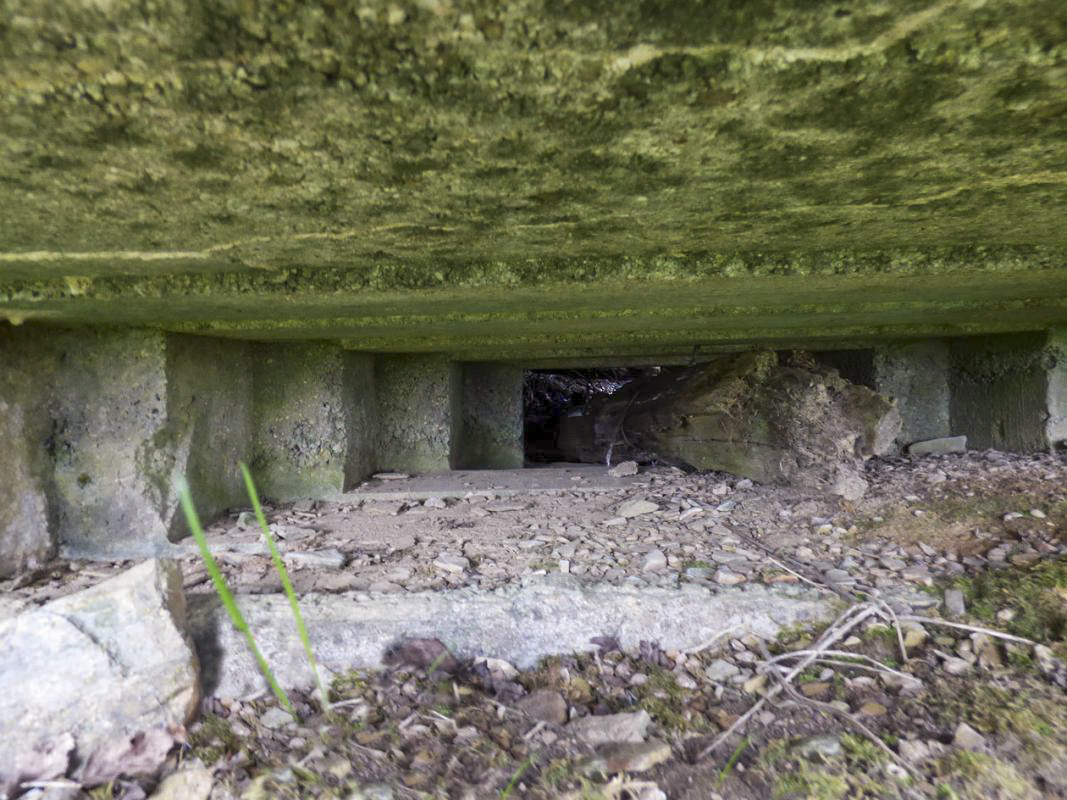 Ligne Maginot - BA57 - LA SONGIÈRE OUEST - (Blockhaus pour canon) -  - JMBrams