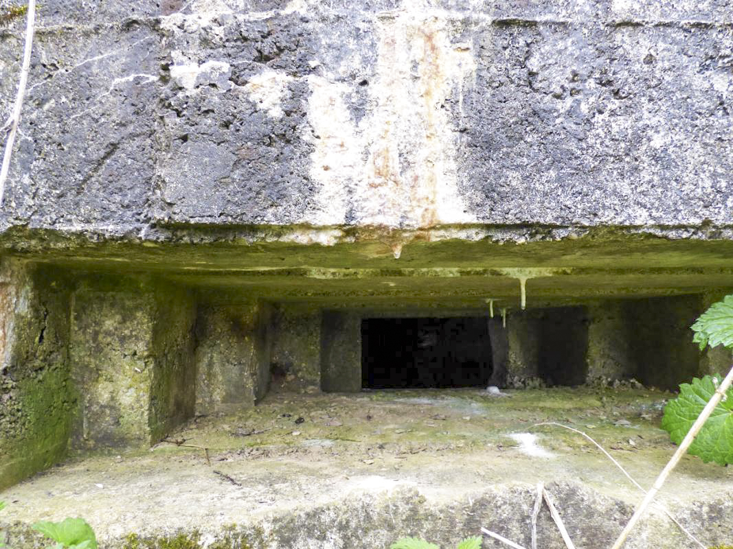 Ligne Maginot - BA57 - LA SONGIÈRE OUEST - (Blockhaus pour canon) -  - JMBrams