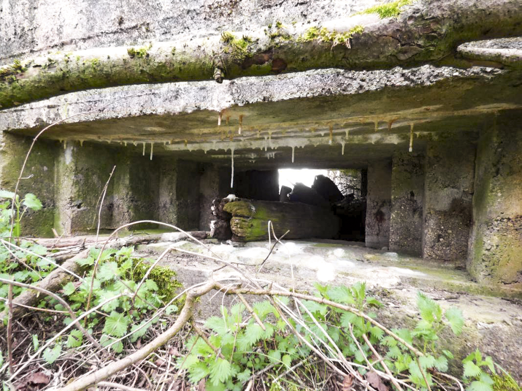 Ligne Maginot - BA57 - LA SONGIÈRE OUEST - (Blockhaus pour canon) -  - JMBrams