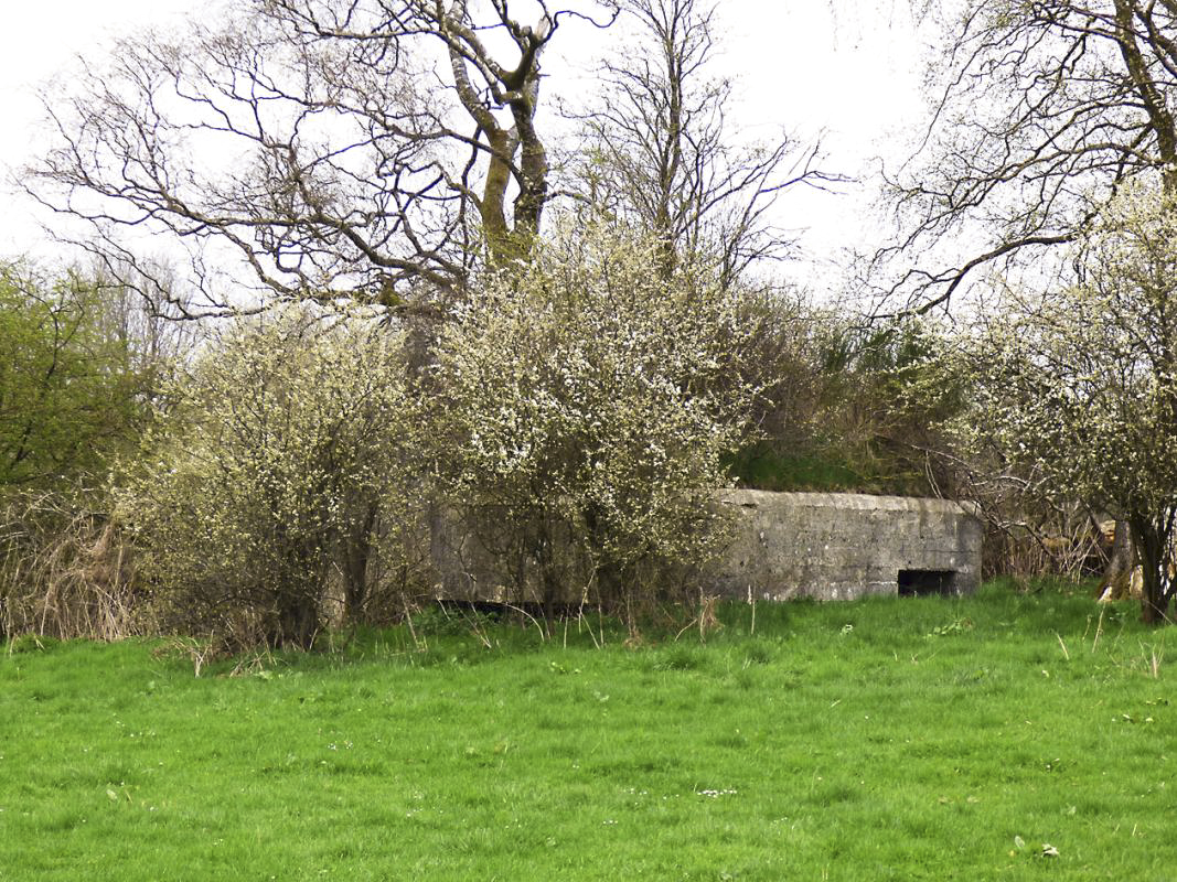 Ligne Maginot - BA57 - LA SONGIÈRE OUEST - (Blockhaus pour canon) -  - JMBrams