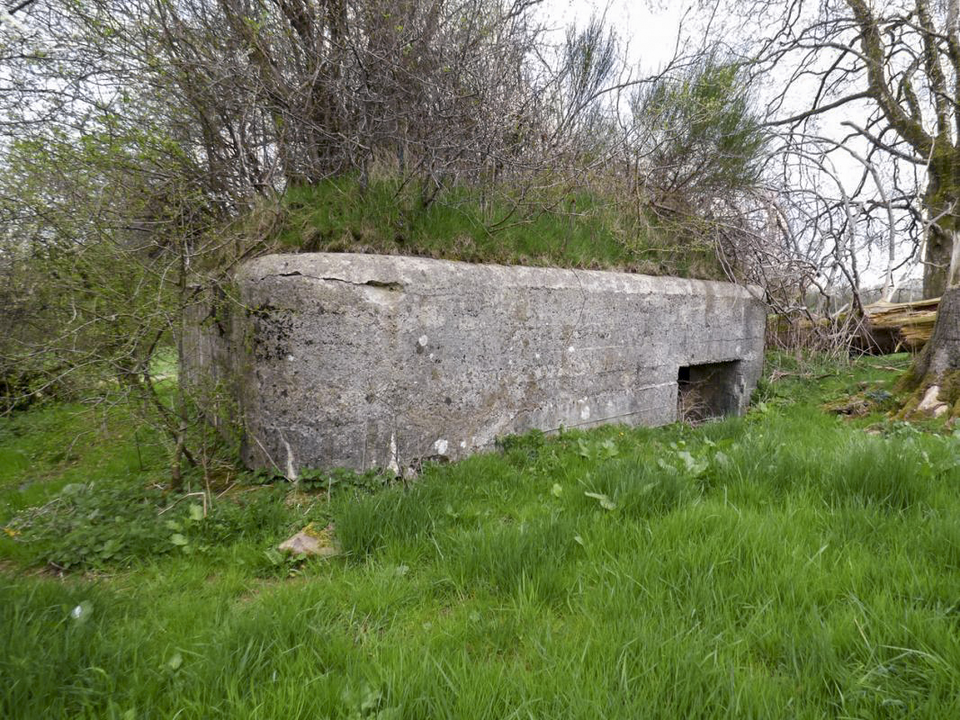 Ligne Maginot - BA57 - LA SONGIÈRE OUEST - (Blockhaus pour canon) -  - JMBrams