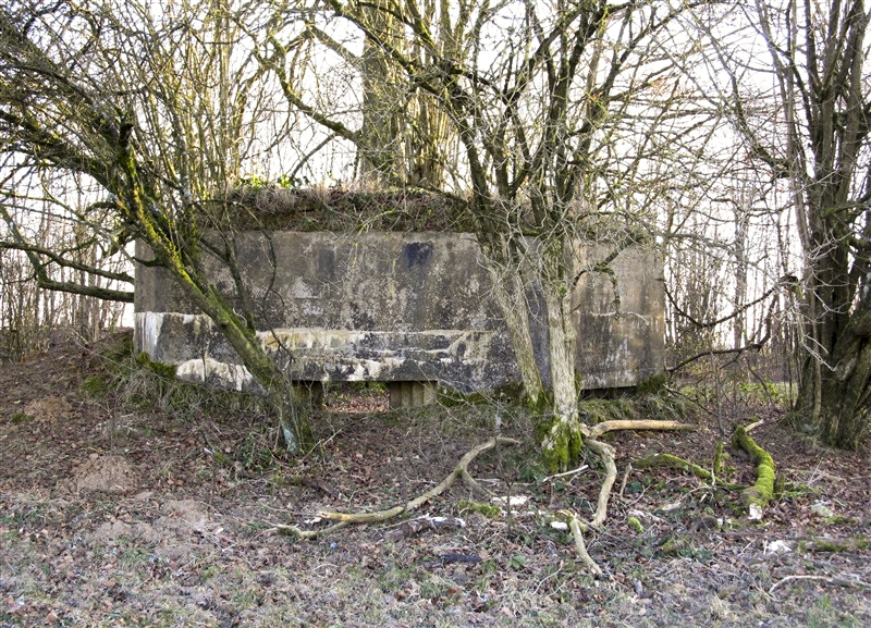 Ligne Maginot - BA56 - LA SABLONNIÈRE - (Blockhaus pour canon) -  - François MATHOT