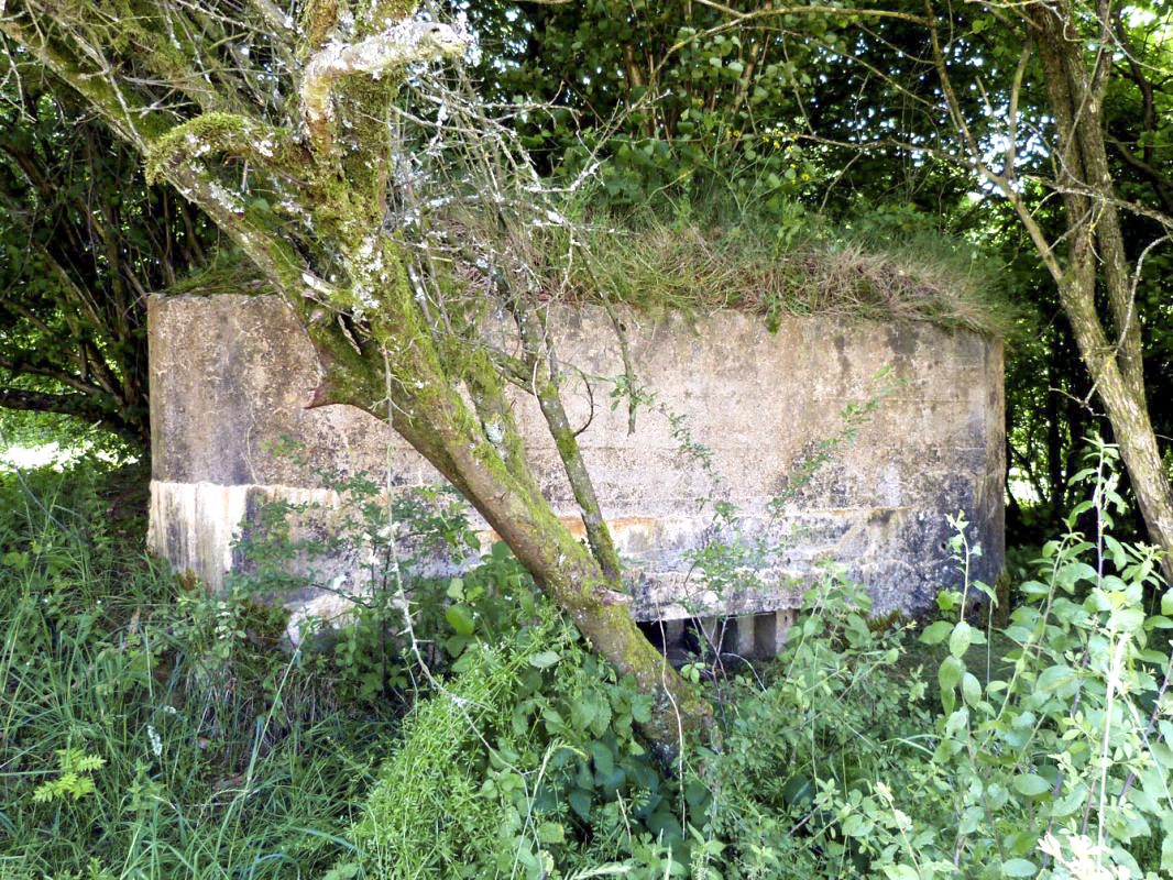 Ligne Maginot - BA56 - LA SABLONNIÈRE - (Blockhaus pour canon) -  - JMBrams