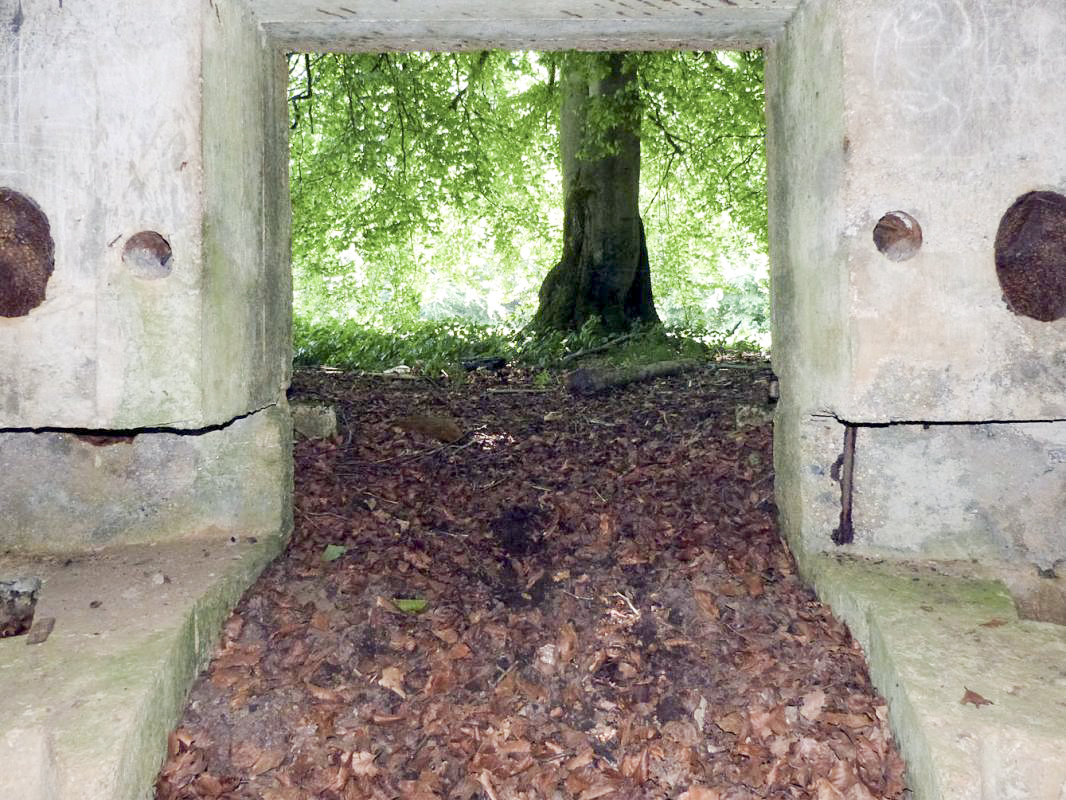 Ligne Maginot - BA56 - LA SABLONNIÈRE - (Blockhaus pour canon) -  - JMBrams