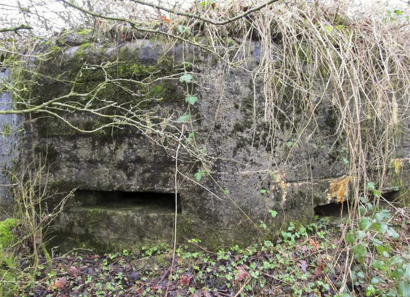 Ligne Maginot - BA65 - CHATEAU BLANC - (Blockhaus pour canon) -  - François MATHOT
