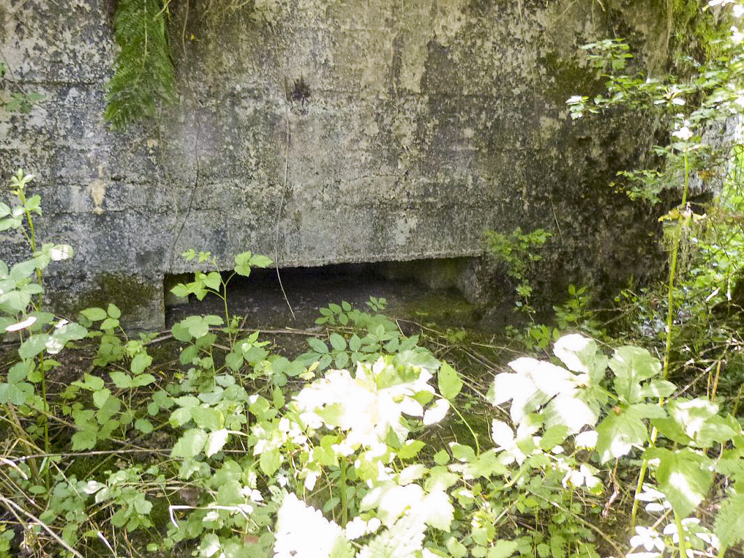 Ligne Maginot - BA65 - CHATEAU BLANC - (Blockhaus pour canon) -  - JMBrams