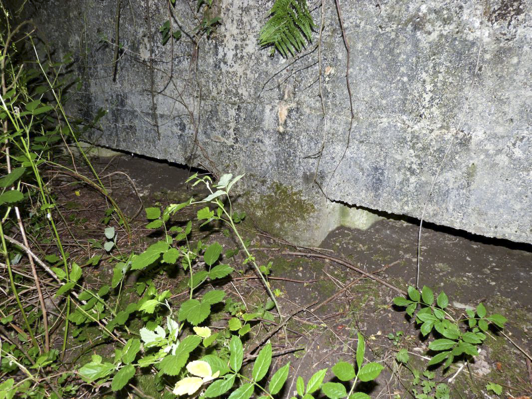 Ligne Maginot - BA65 - CHATEAU BLANC - (Blockhaus pour canon) -  - JMBrams