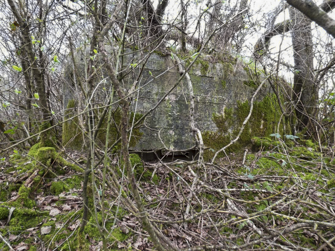 Ligne Maginot - BA66 - LES AISEMENTS EST - (Blockhaus pour canon) -  - JMBrams