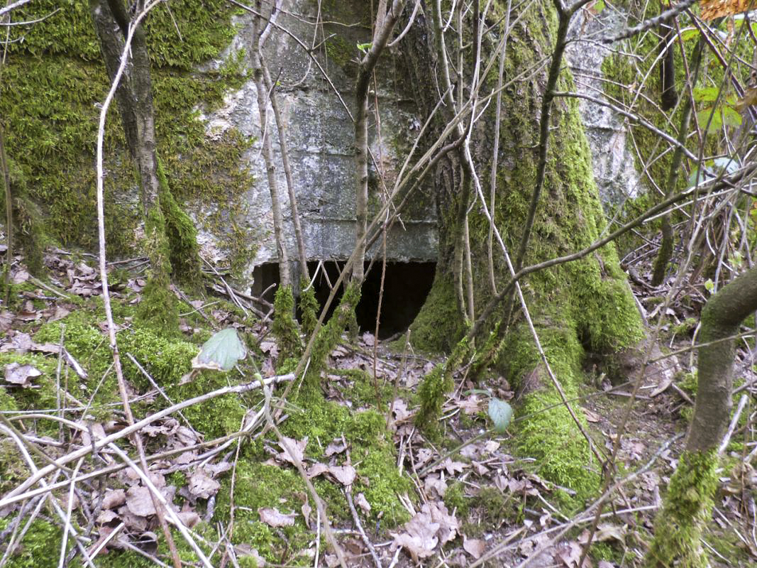 Ligne Maginot - BA66 - LES AISEMENTS EST - (Blockhaus pour canon) -  - JMBrams