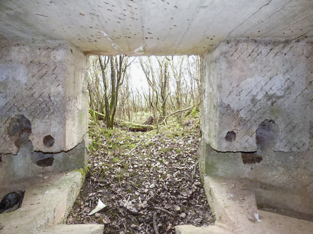 Ligne Maginot - BA66 - LES AISEMENTS EST - (Blockhaus pour canon) -  - JMBrams
