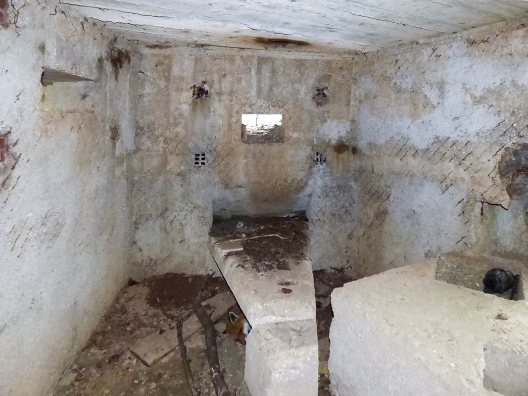 Ligne Maginot - BA66 - LES AISEMENTS EST - (Blockhaus pour canon) -  - JMBrams