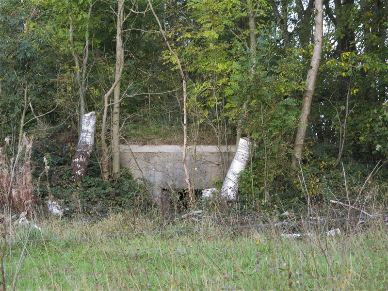Ligne Maginot - BA67 - ROUTE DE FOURCHEMAQUE NORD - (Blockhaus pour canon) -  - François MATHOT