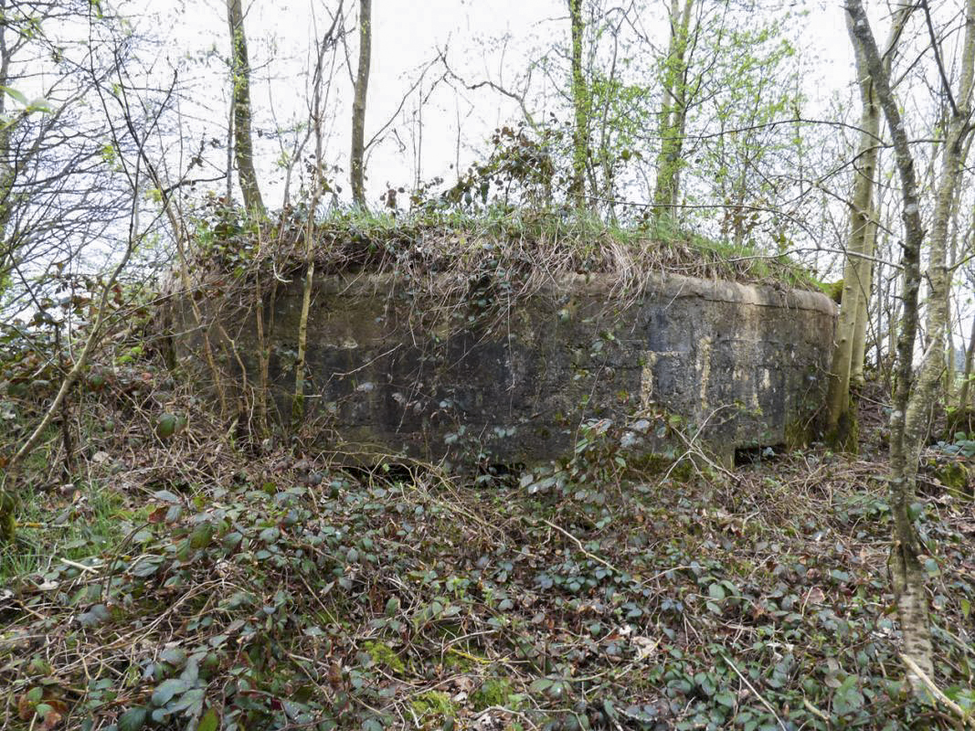 Ligne Maginot - BA67 - ROUTE DE FOURCHEMAQUE NORD - (Blockhaus pour canon) -  - JMBrams