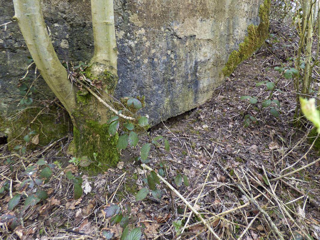 Ligne Maginot - BA67 - ROUTE DE FOURCHEMAQUE NORD - (Blockhaus pour canon) -  - JMBrams