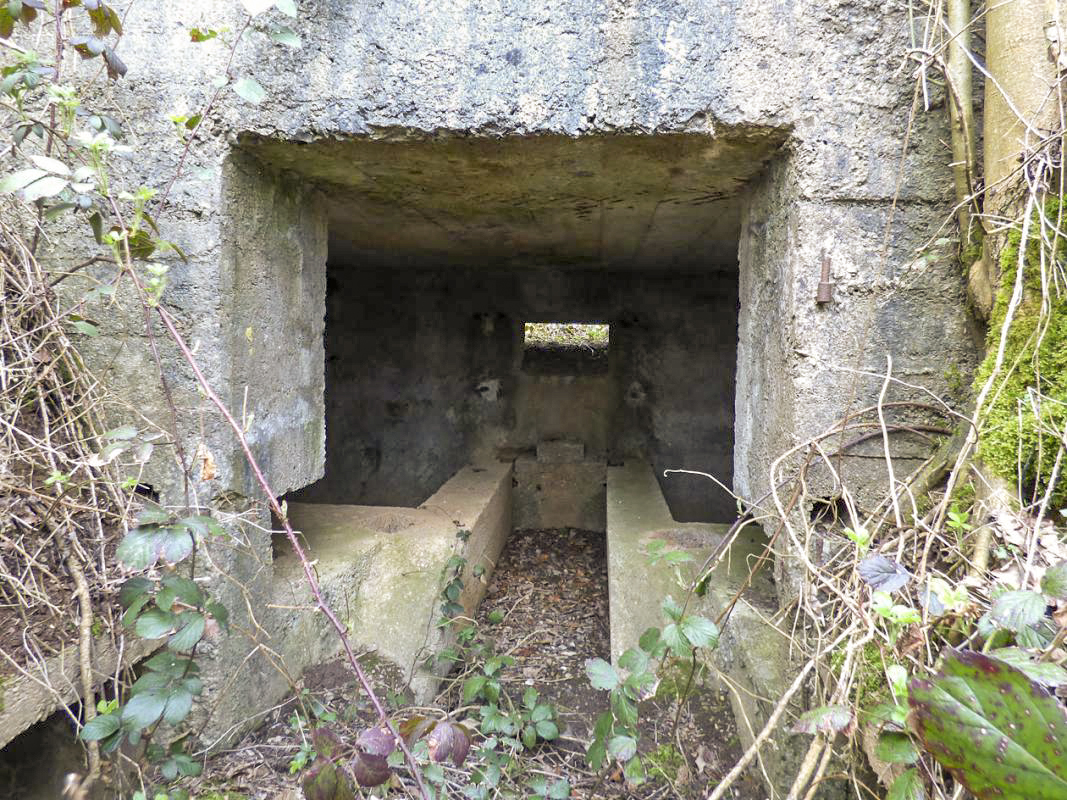 Ligne Maginot - BA67 - ROUTE DE FOURCHEMAQUE NORD - (Blockhaus pour canon) -  - JMBrams