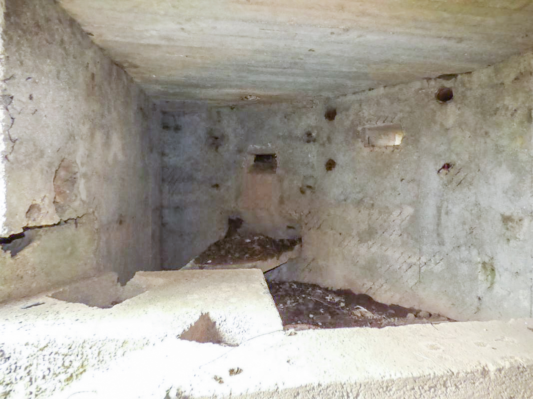 Ligne Maginot - BA67 - ROUTE DE FOURCHEMAQUE NORD - (Blockhaus pour canon) -  - JMBrams