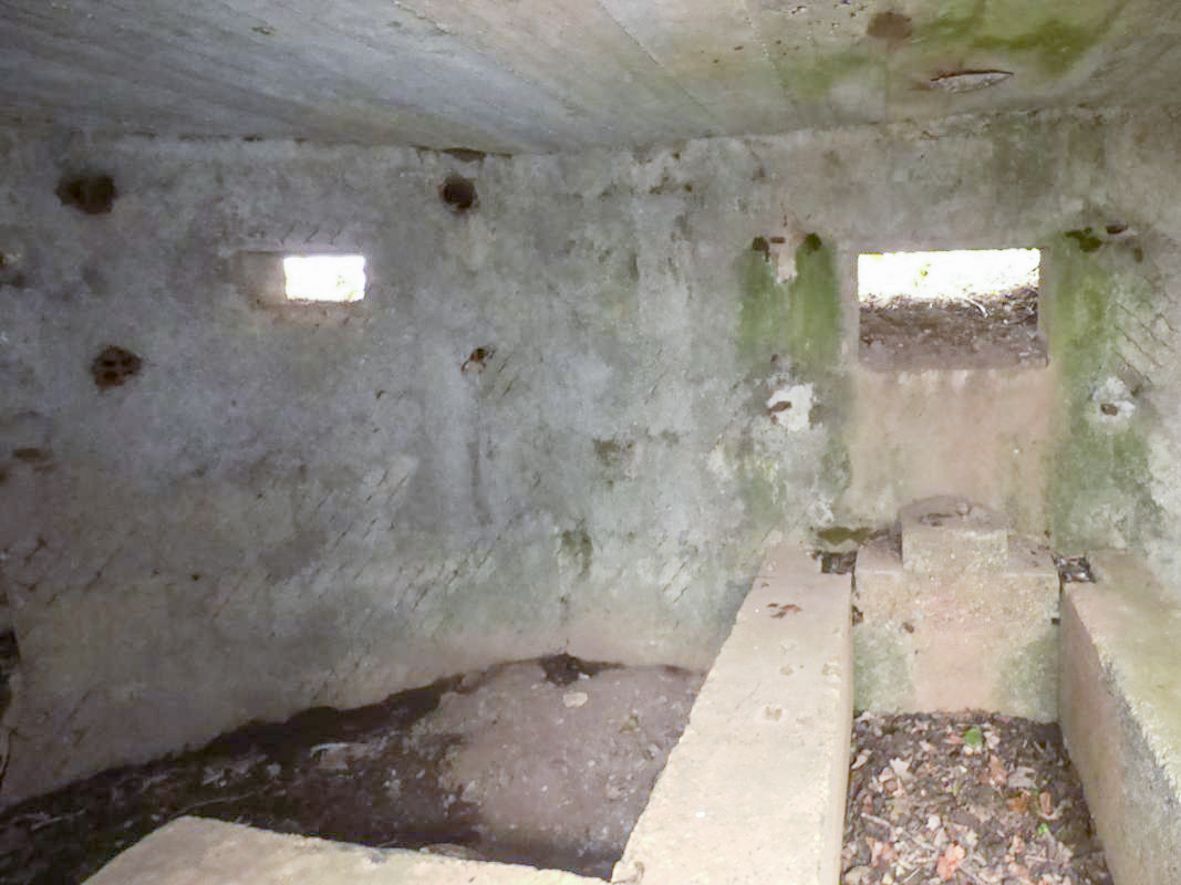 Ligne Maginot - BA67 - ROUTE DE FOURCHEMAQUE NORD - (Blockhaus pour canon) -  - JMBrams