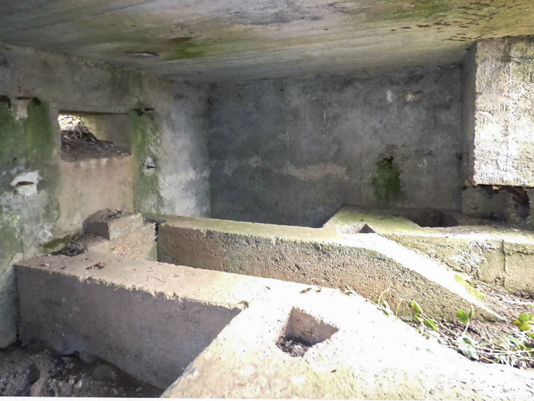 Ligne Maginot - BA67 - ROUTE DE FOURCHEMAQUE NORD - (Blockhaus pour canon) -  - JMBrams