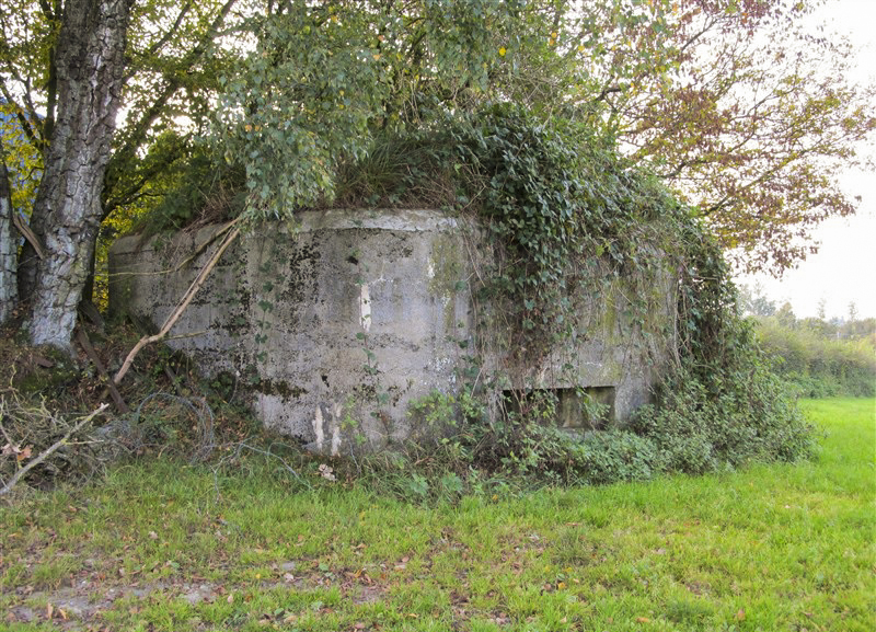 Ligne Maginot - BA68 - ROUTE DE FOURCHEMAQUE SUD - (Blockhaus pour canon) -  - François MATHOT