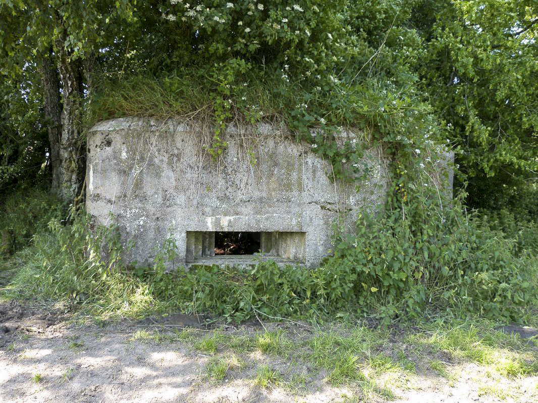 Ligne Maginot - BA68 - ROUTE DE FOURCHEMAQUE SUD - (Blockhaus pour canon) -  - JMBrams