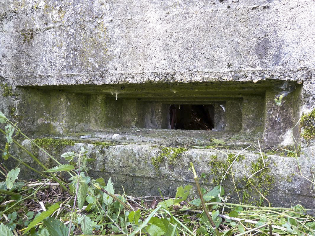 Ligne Maginot - BA68 - ROUTE DE FOURCHEMAQUE SUD - (Blockhaus pour canon) -  - JMBrams