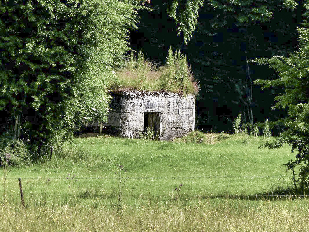 Ligne Maginot - BA69 - LA RENARDIÈRE - (Blockhaus pour canon) -  - JMBrams