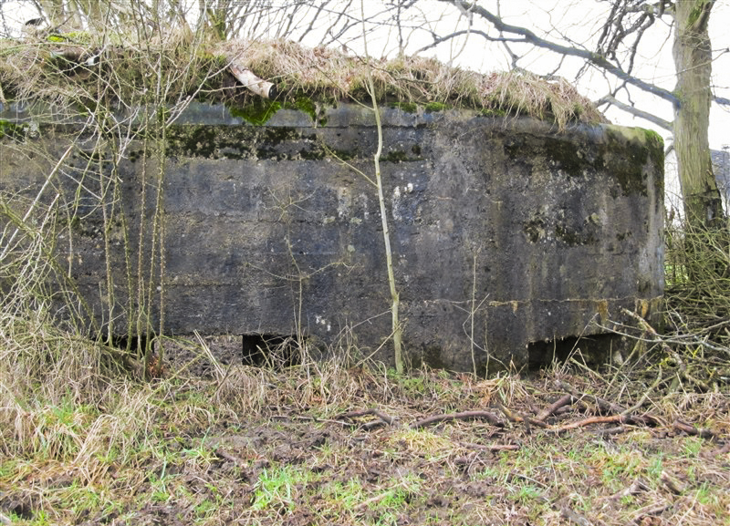 Ligne Maginot - BA70 - PONT DU MAMELOT OUEST - (Blockhaus pour canon) -  - François MATHOT