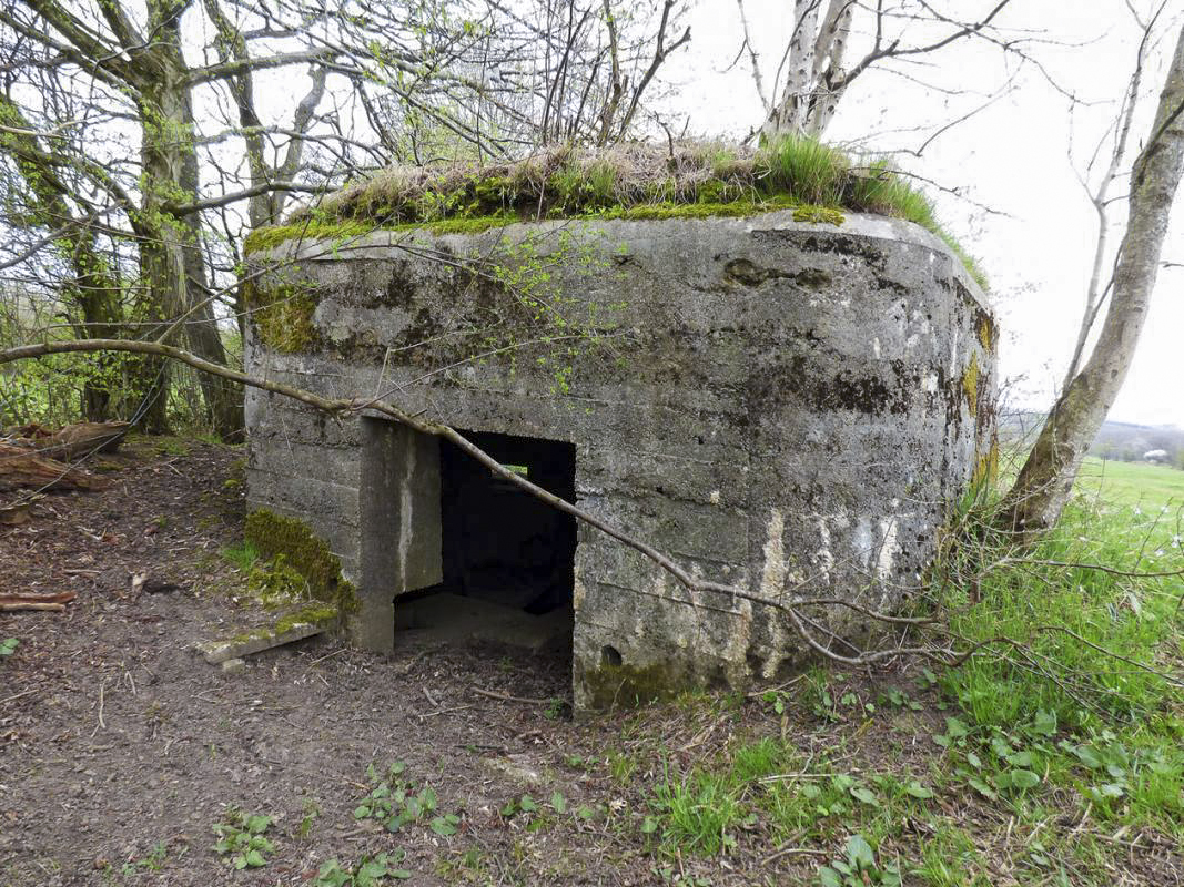 Ligne Maginot - BA70 - PONT DU MAMELOT OUEST - (Blockhaus pour canon) -  - JMBrams
