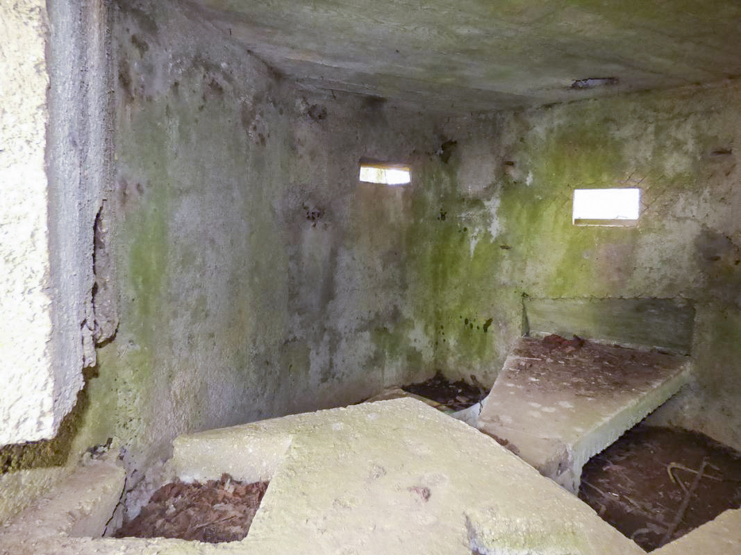 Ligne Maginot - BA70 - PONT DU MAMELOT OUEST - (Blockhaus pour canon) -  - JMBrams