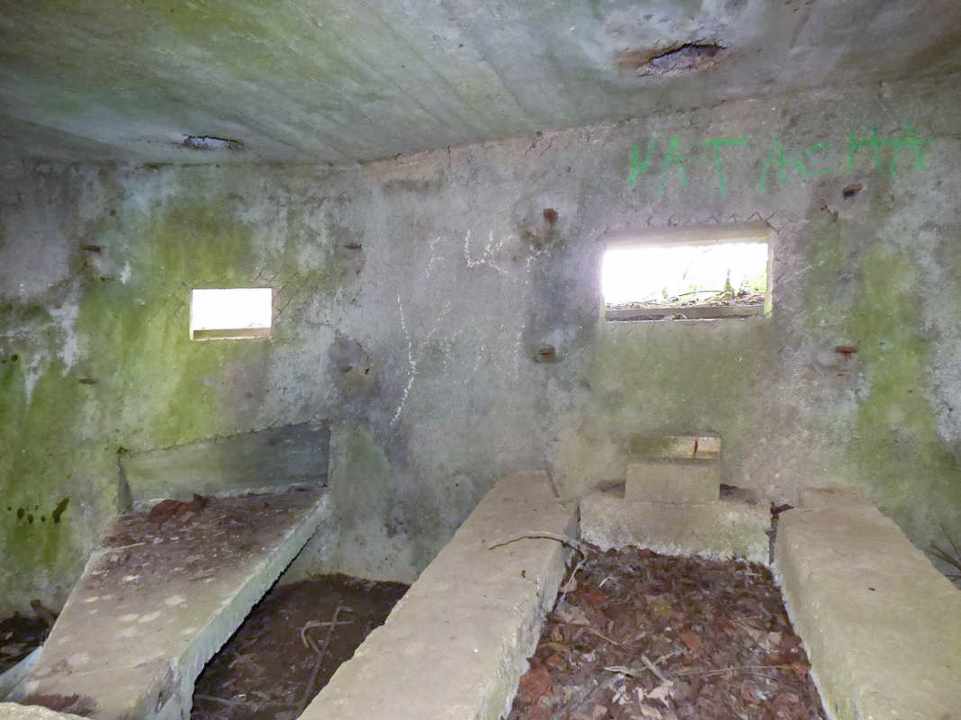 Ligne Maginot - BA70 - PONT DU MAMELOT OUEST - (Blockhaus pour canon) -  - JMBrams