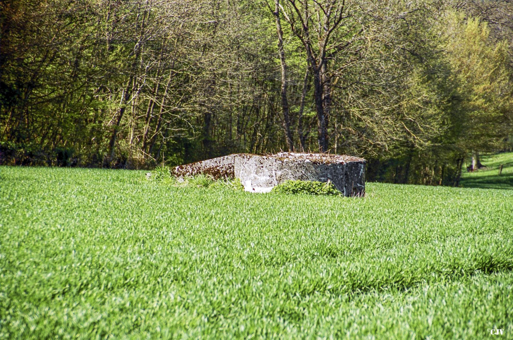 Ligne Maginot - T76 - BOIS DES AUVENELLES NORD - (Cuve pour arme d'infanterie) -  - Caspar Vermeulen