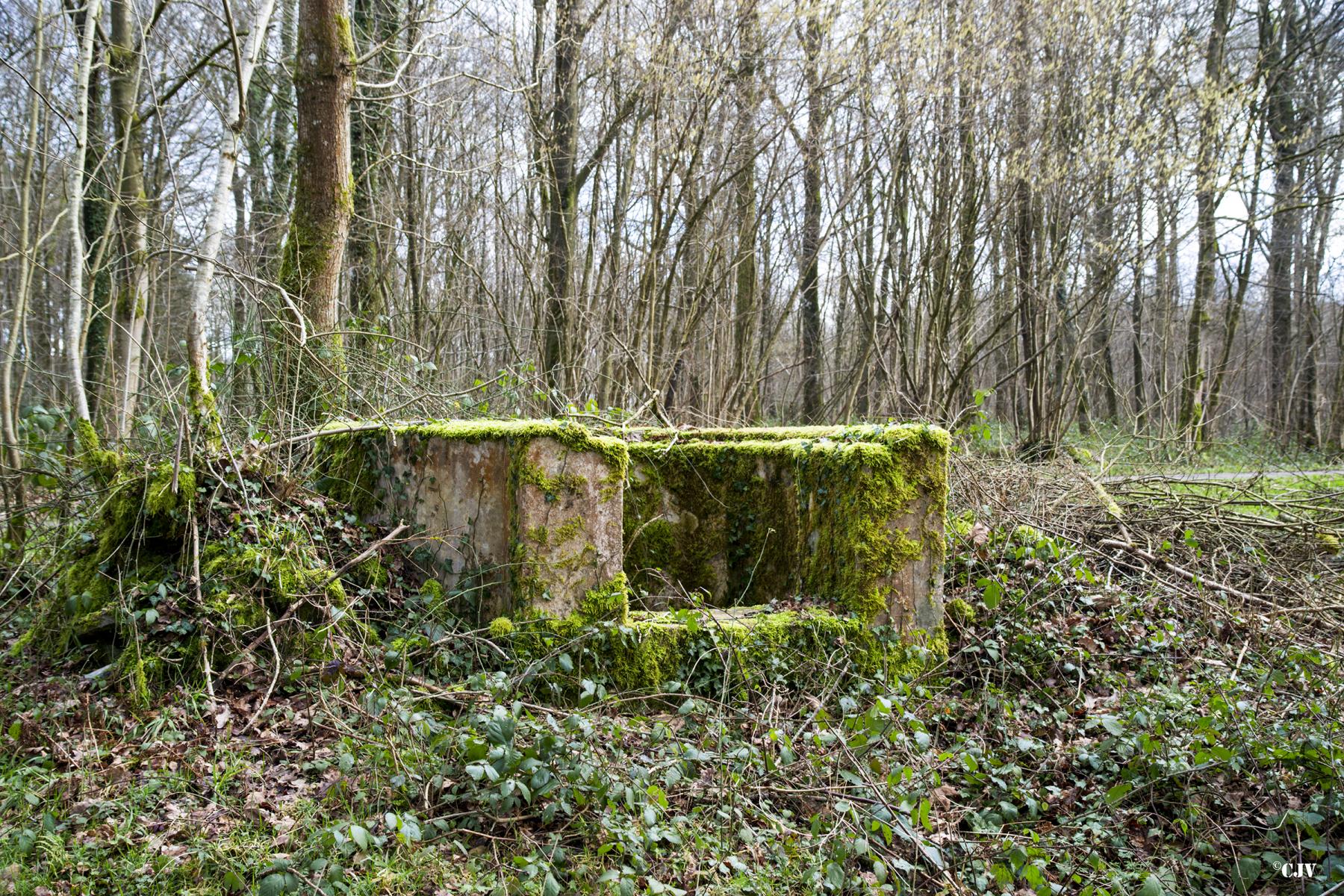 Ligne Maginot - T81 - HUTUTU NORD - (Cuve pour arme d'infanterie) -  - Lia VERMEULEN