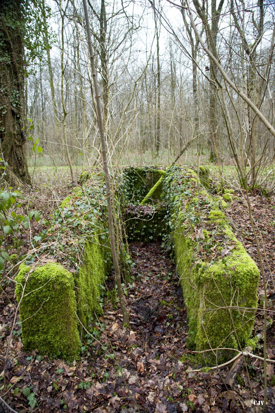 Ligne Maginot - T83 - HUTUTU SUD-OUEST - (Cuve pour arme d'infanterie) -  - Lia VERMEULEN
