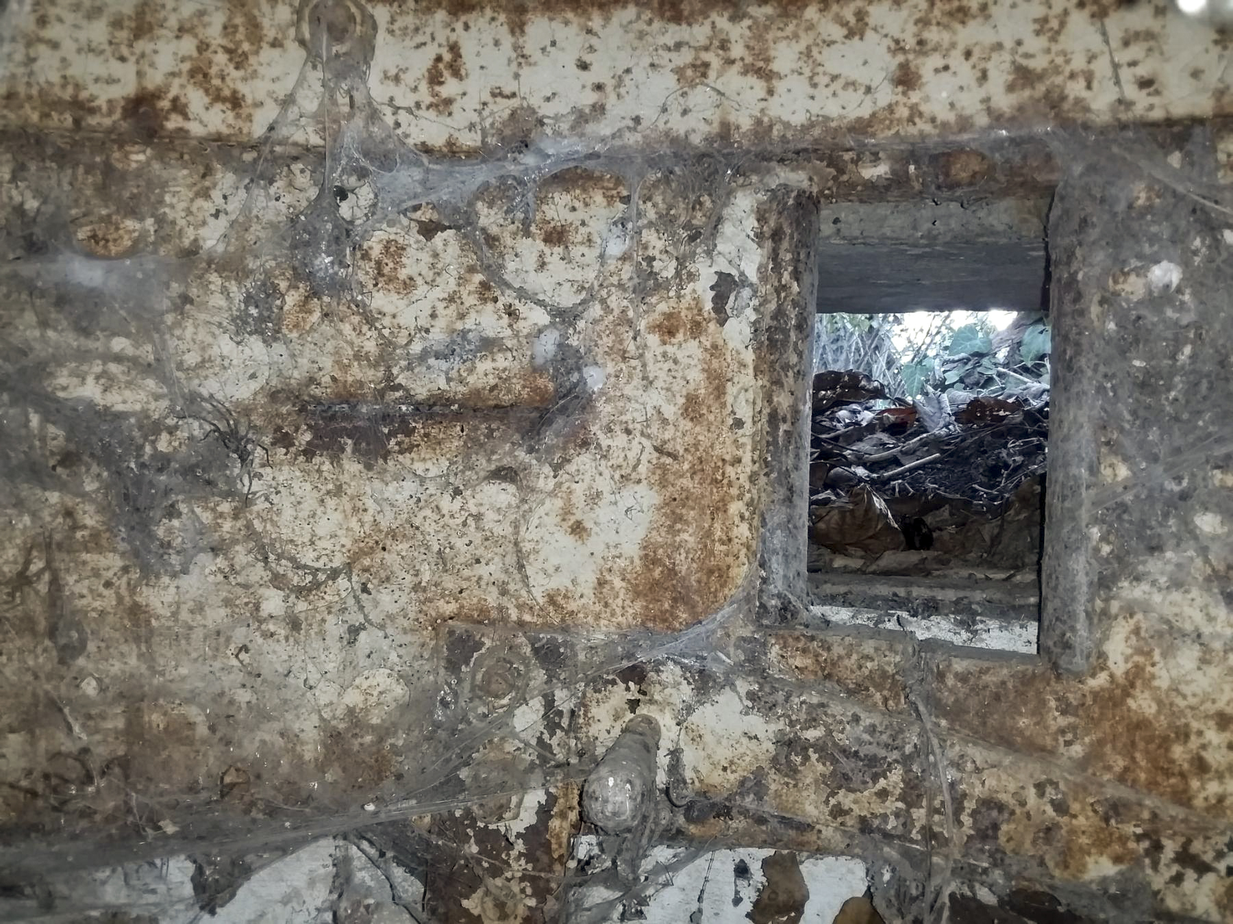 Ligne Maginot - B79 - RICHTOLSHEIM 5 - (Blockhaus pour arme infanterie) -  - Joel Muntzinger