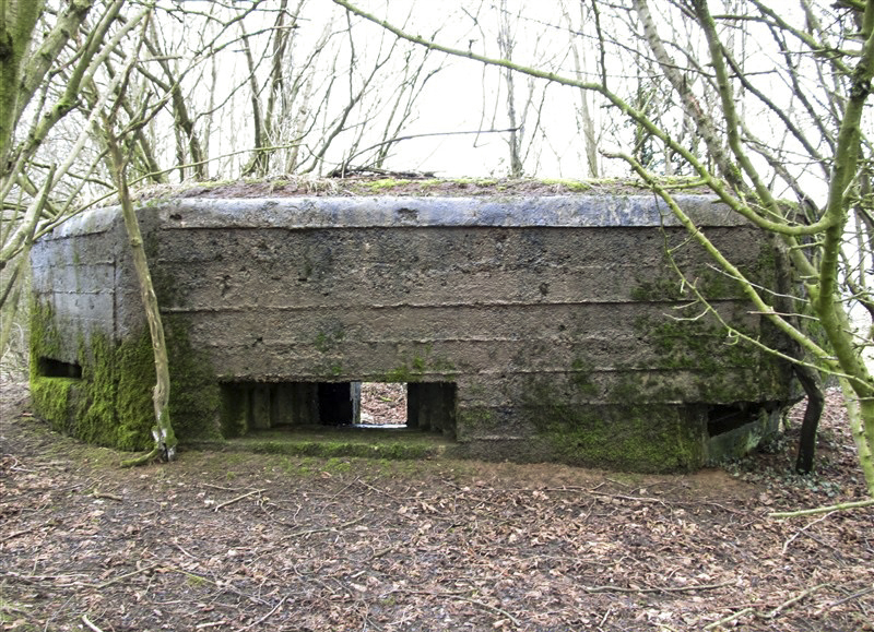 Ligne Maginot - BA71 - LES BERNES - (Blockhaus pour canon) -  - François MATHOT