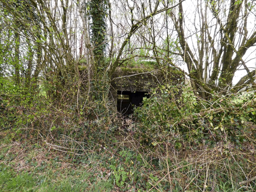 Ligne Maginot - BA71 - LES BERNES - (Blockhaus pour canon) -  - JMBrams