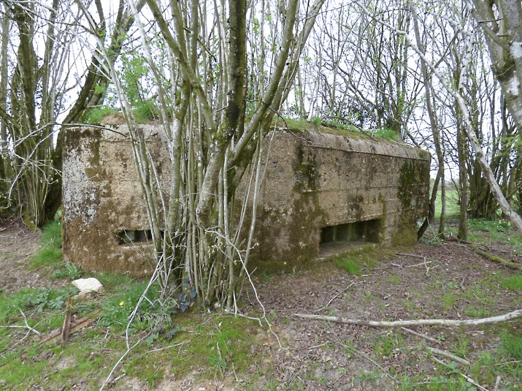 Ligne Maginot - BA71 - LES BERNES - (Blockhaus pour canon) -  - JMBrams