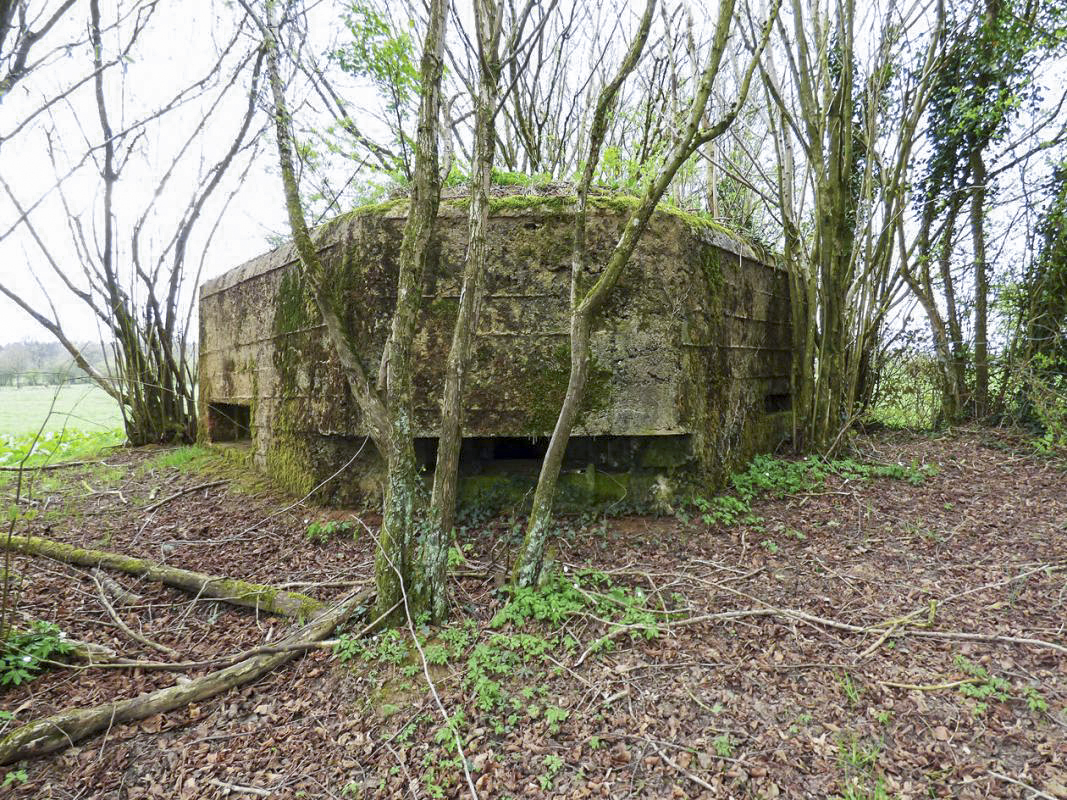 Ligne Maginot - BA71 - LES BERNES - (Blockhaus pour canon) -  - JMBrams
