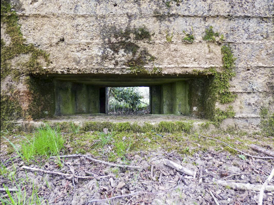Ligne Maginot - BA71 - LES BERNES - (Blockhaus pour canon) -  - JMBrams