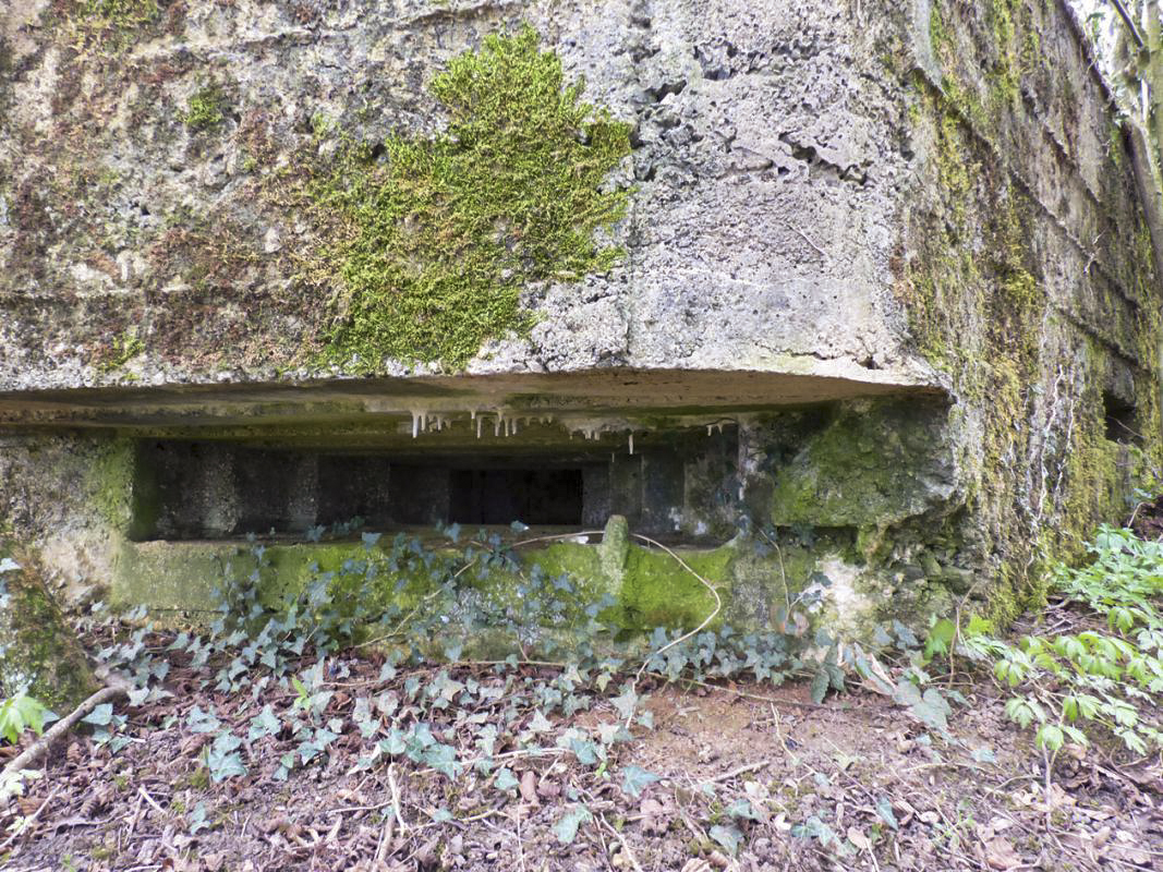 Ligne Maginot - BA71 - LES BERNES - (Blockhaus pour canon) -  - JMBrams