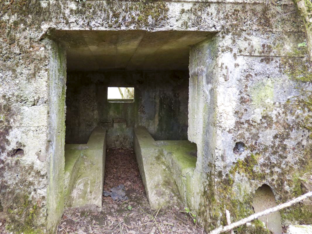 Ligne Maginot - BA71 - LES BERNES - (Blockhaus pour canon) -  - JMBrams